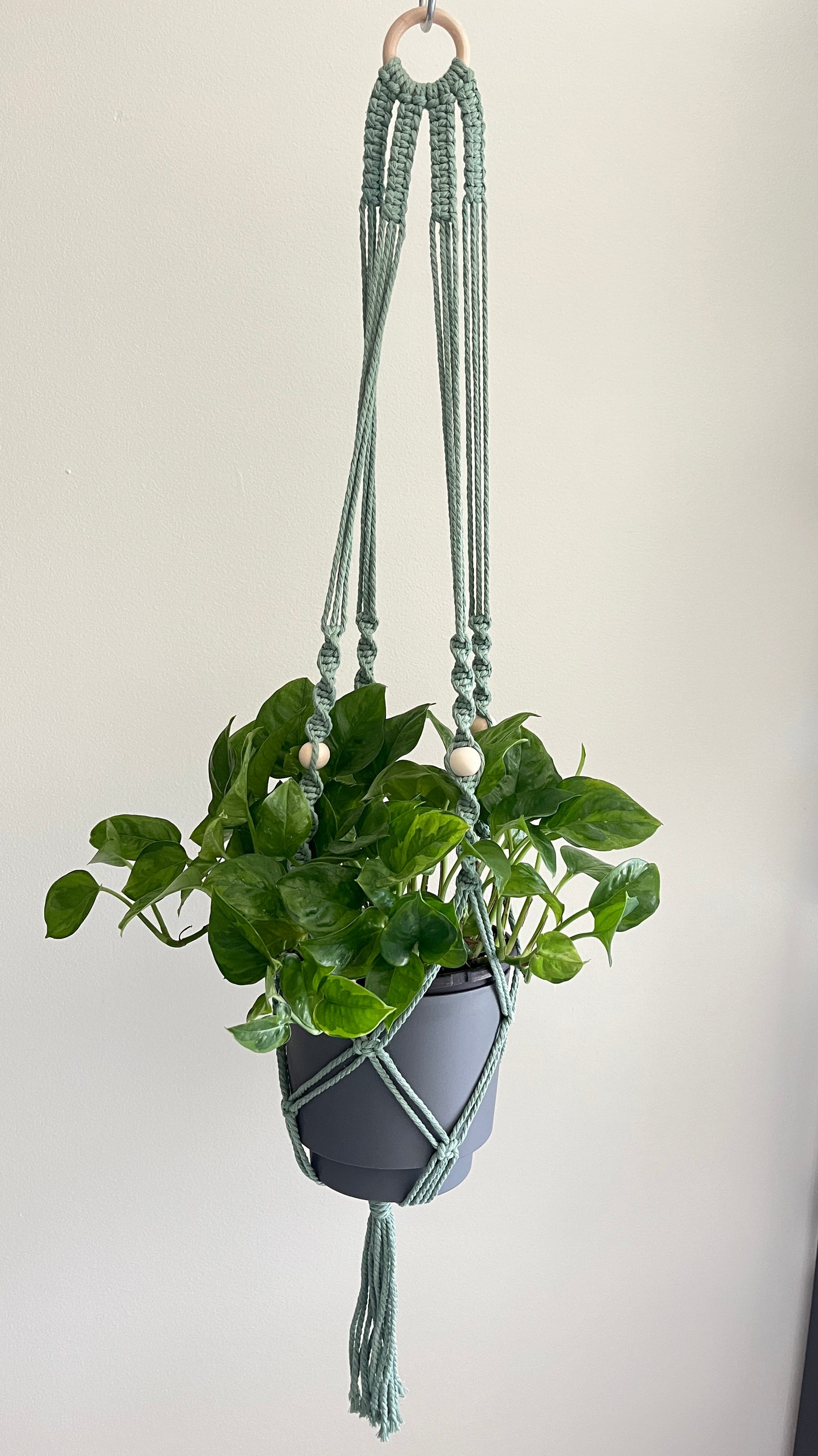 Plant Hanger Workshop
