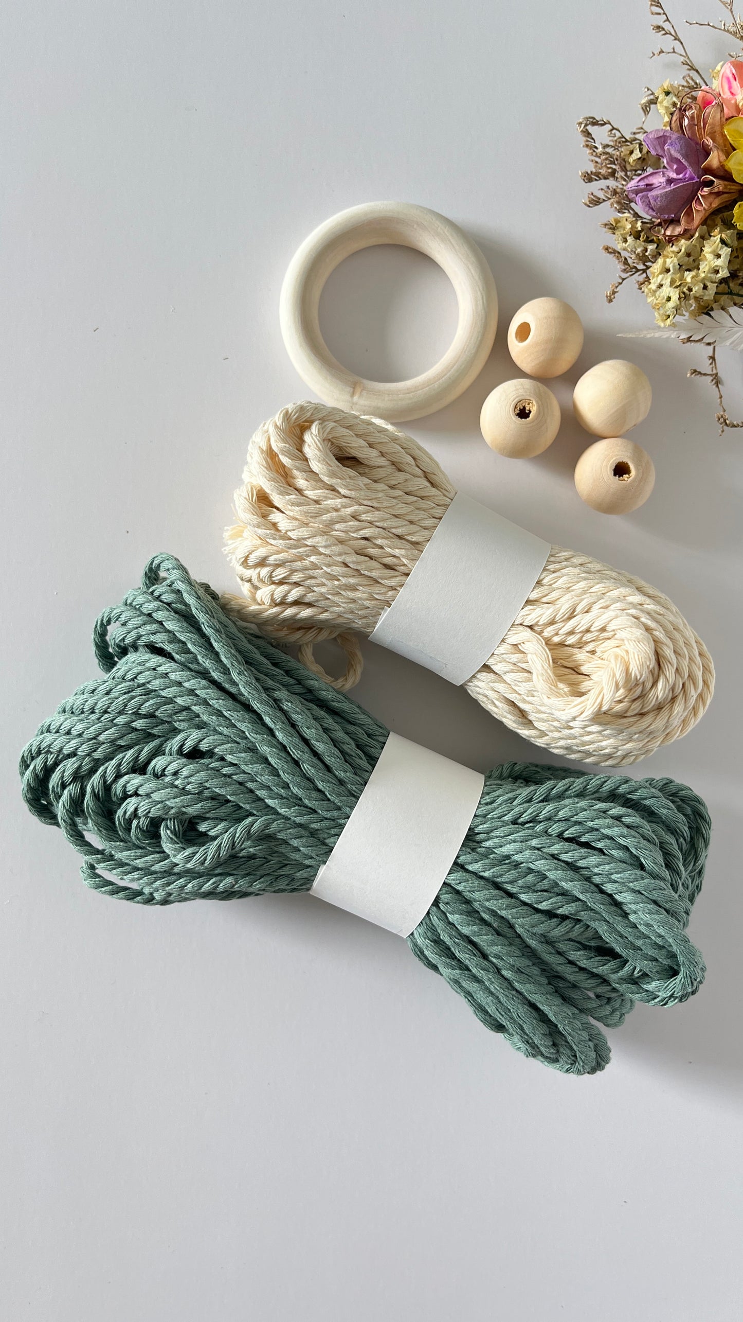 Sunlit Plant Hanger Kit