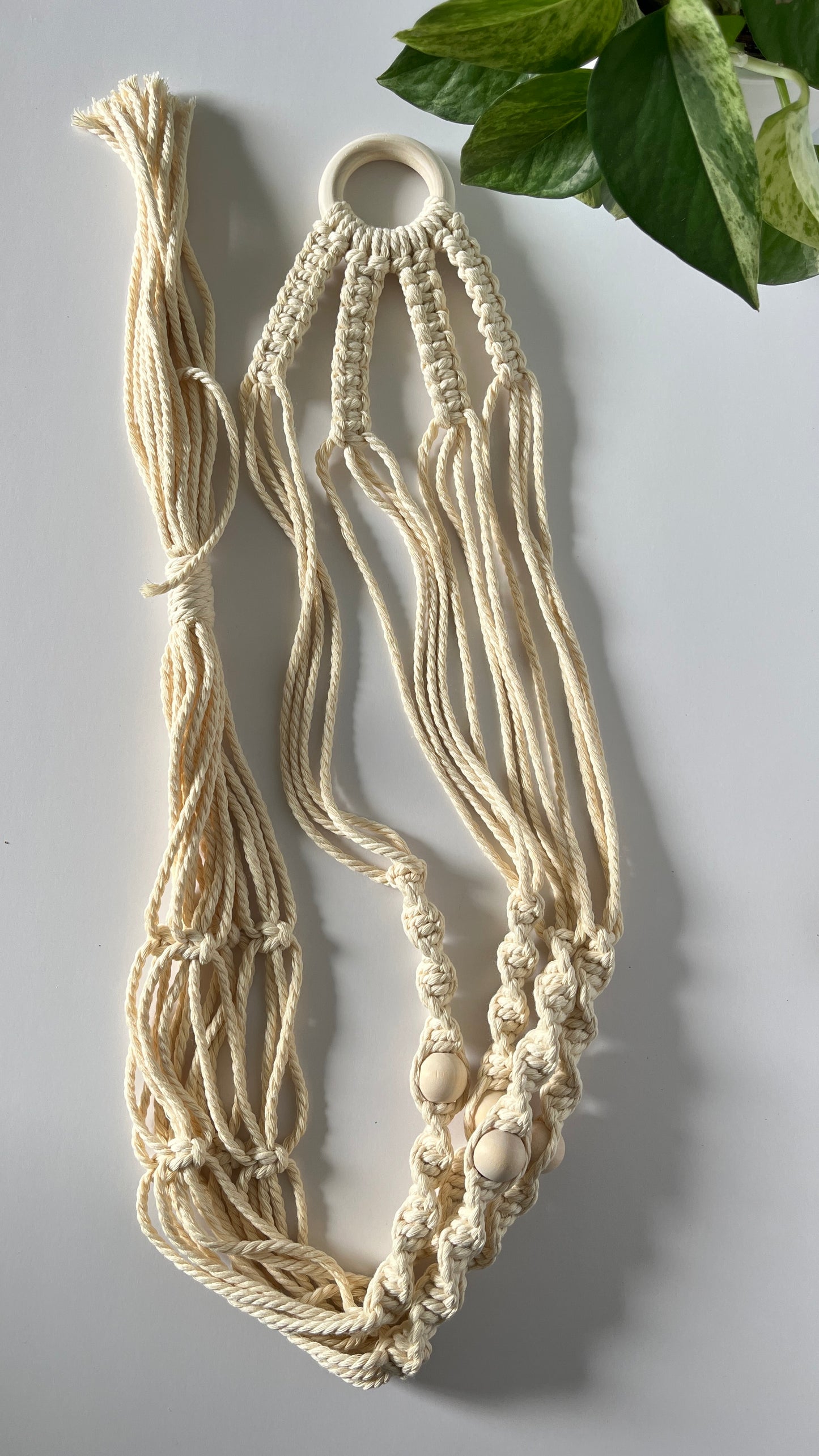 Hold Plant Hanger Kit