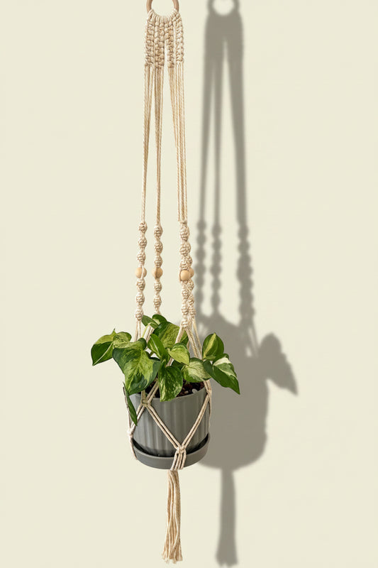 Hold Plant Hanger Kit