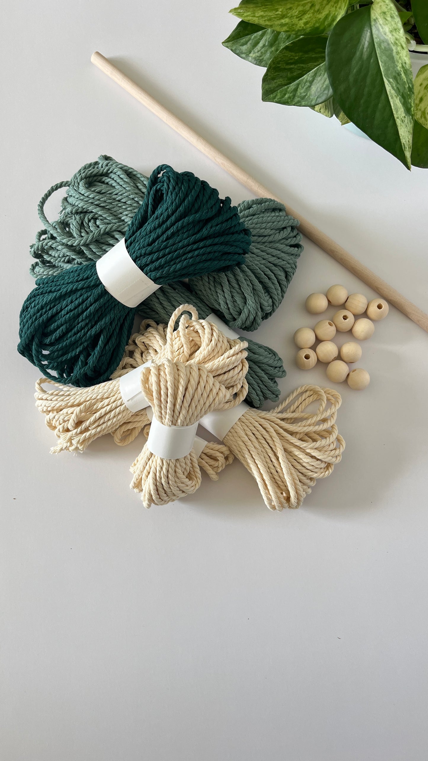 Arch Wall Hanging Kit