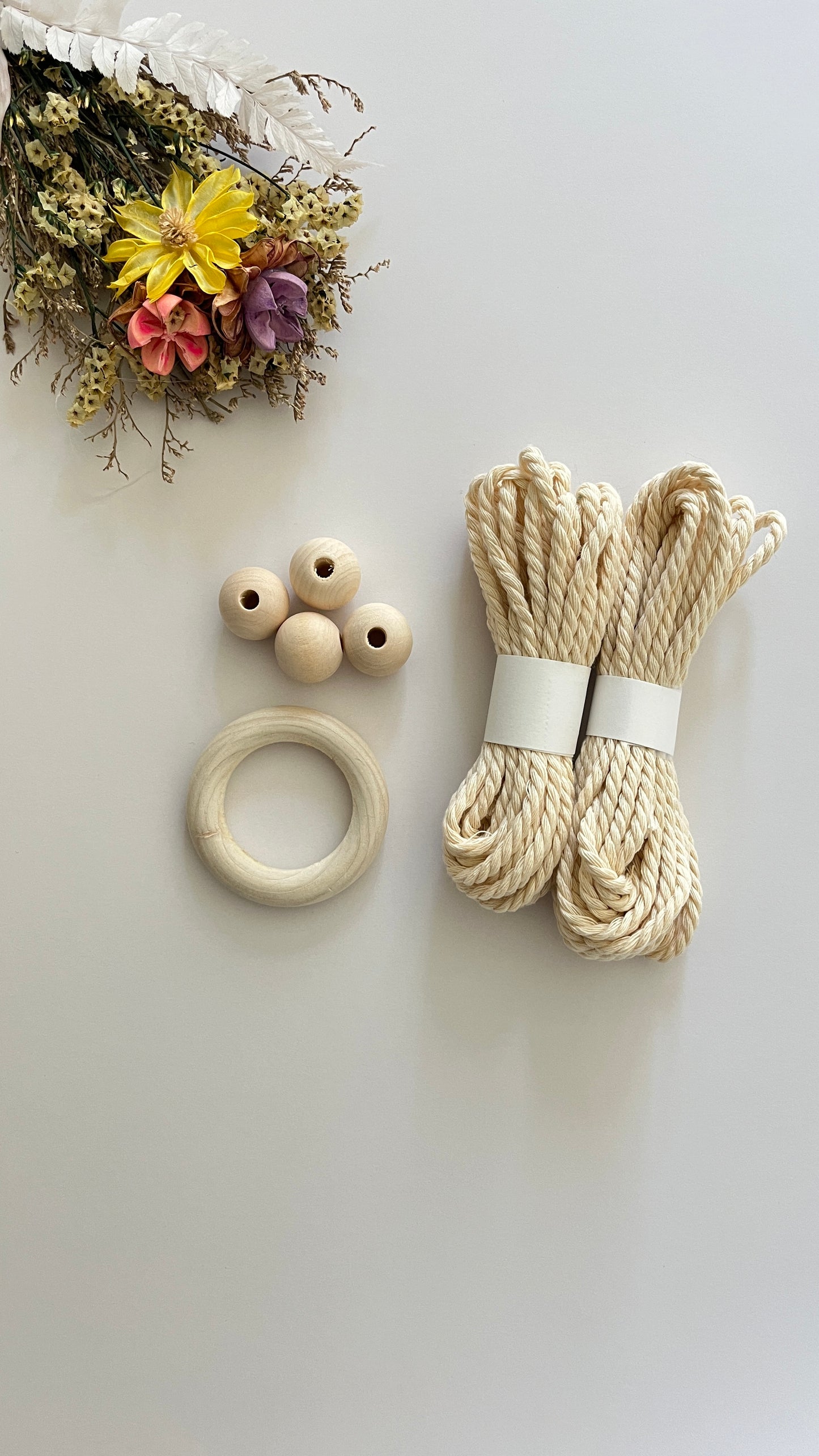 Hold Plant Hanger Kit