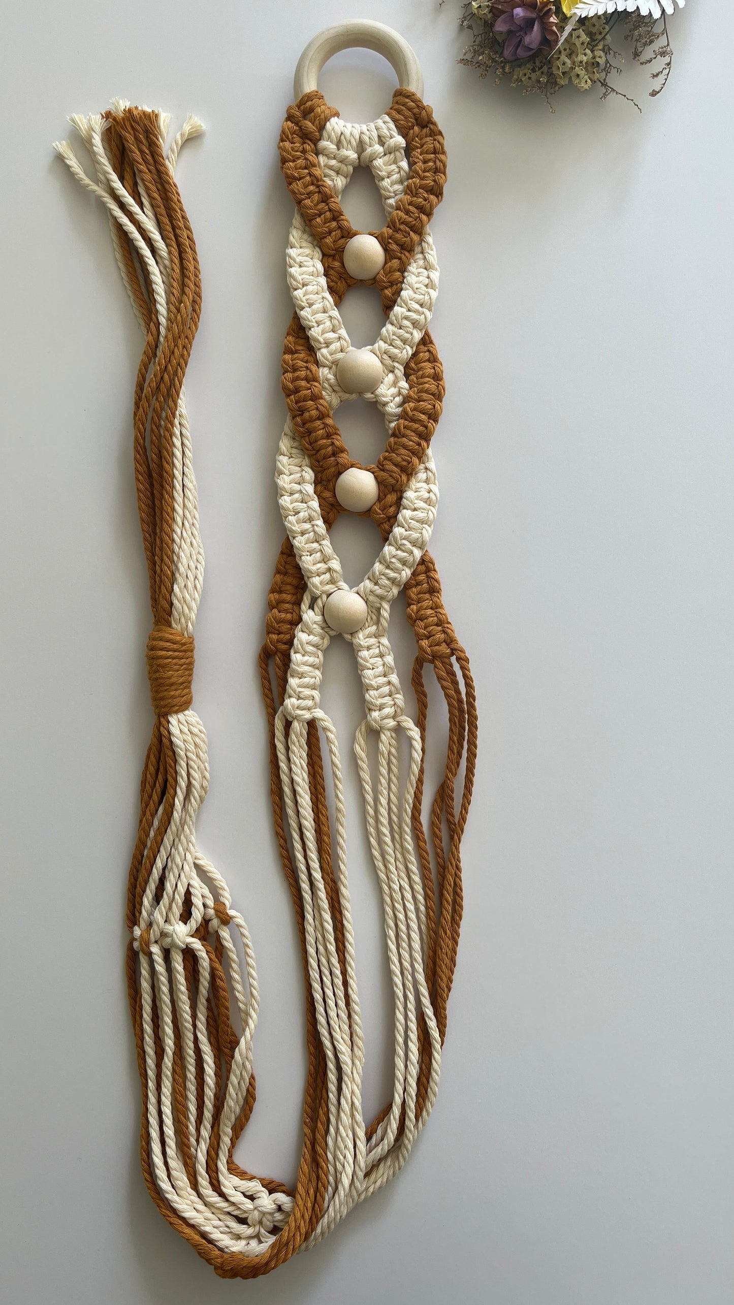 Sunlit Plant Hanger