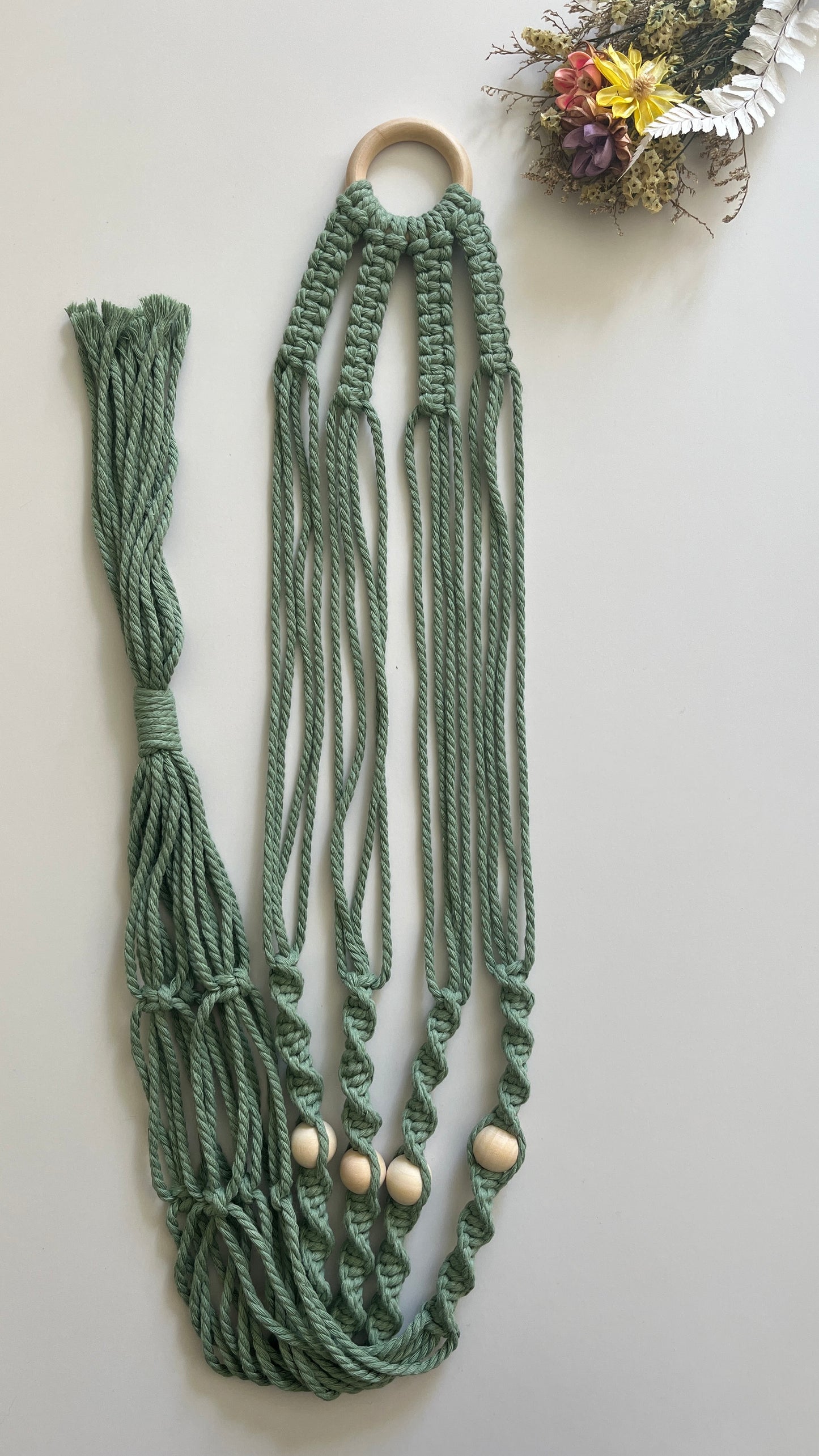 Hold Plant Hanger Kit