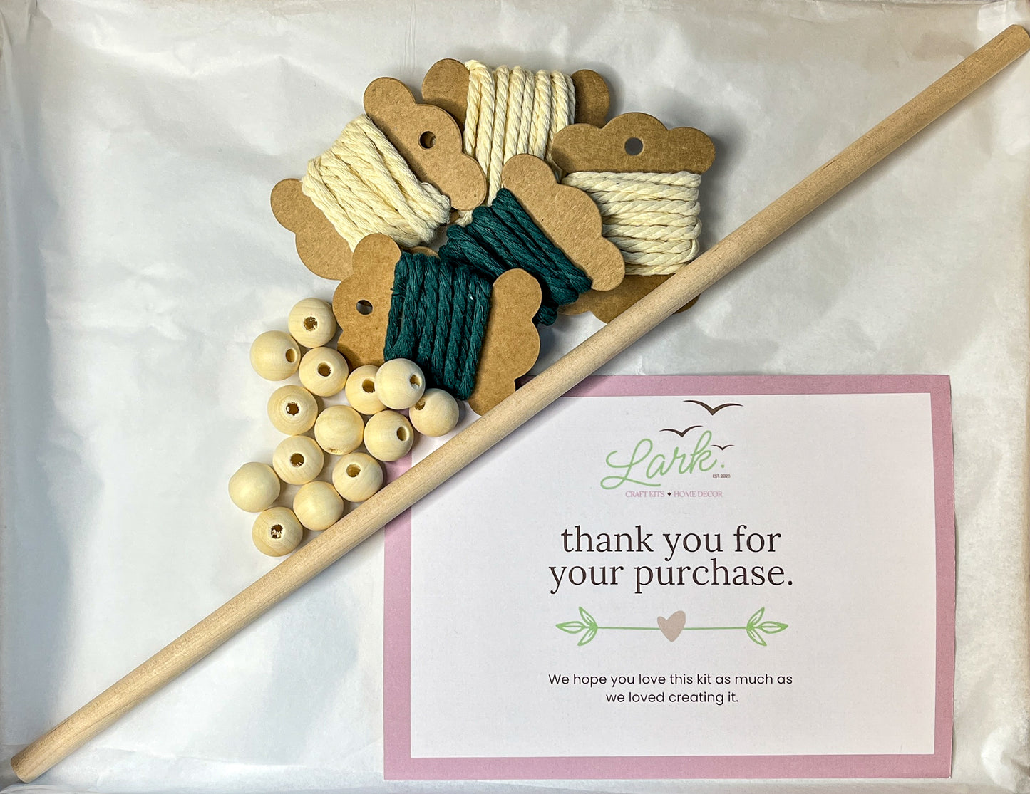 Echo Wall Hanging Kit