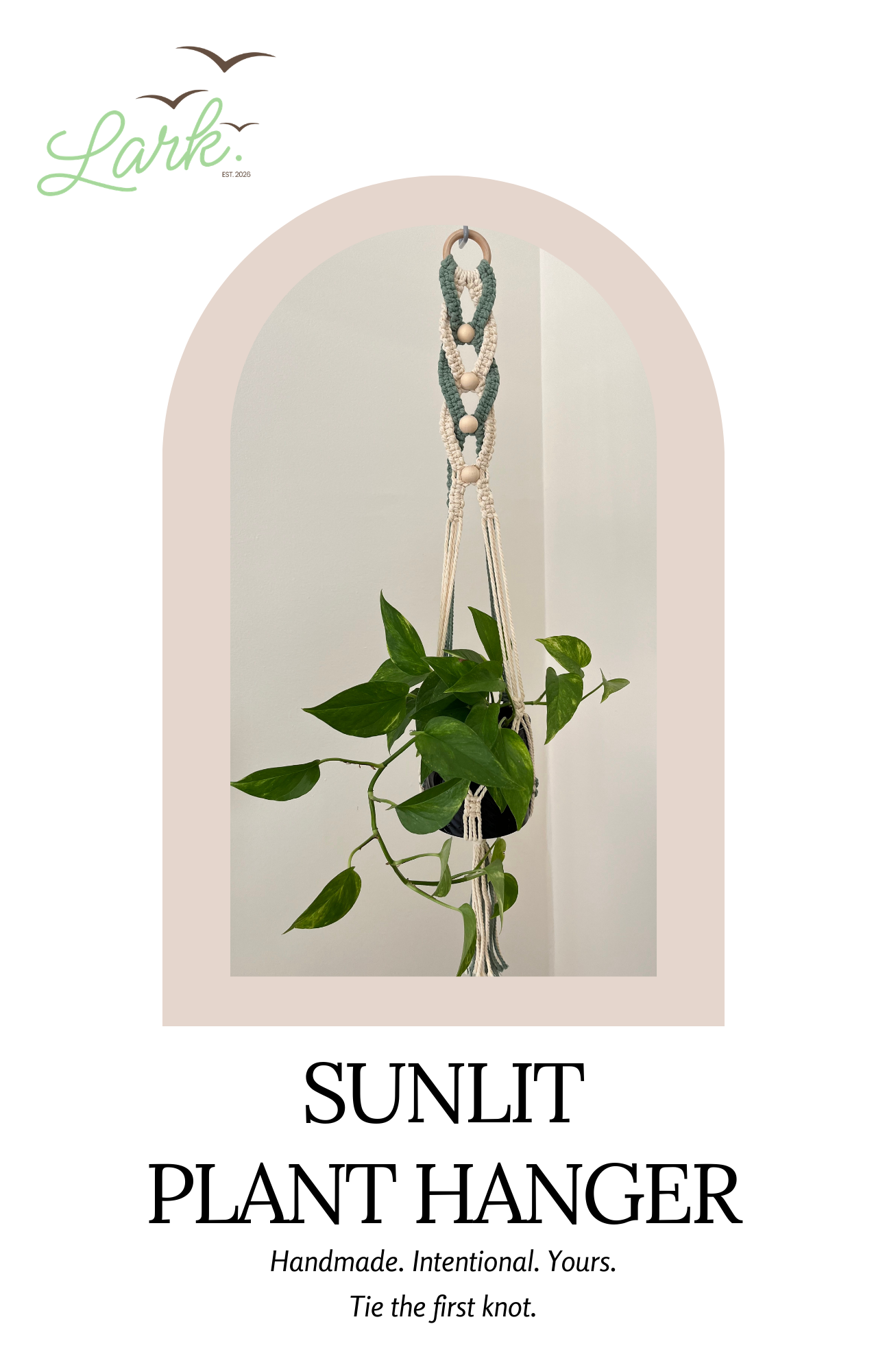 Sunlit Plant Hanger Pattern