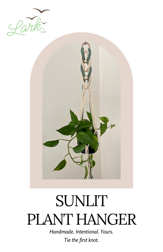 Sunlit Plant Hanger Pattern