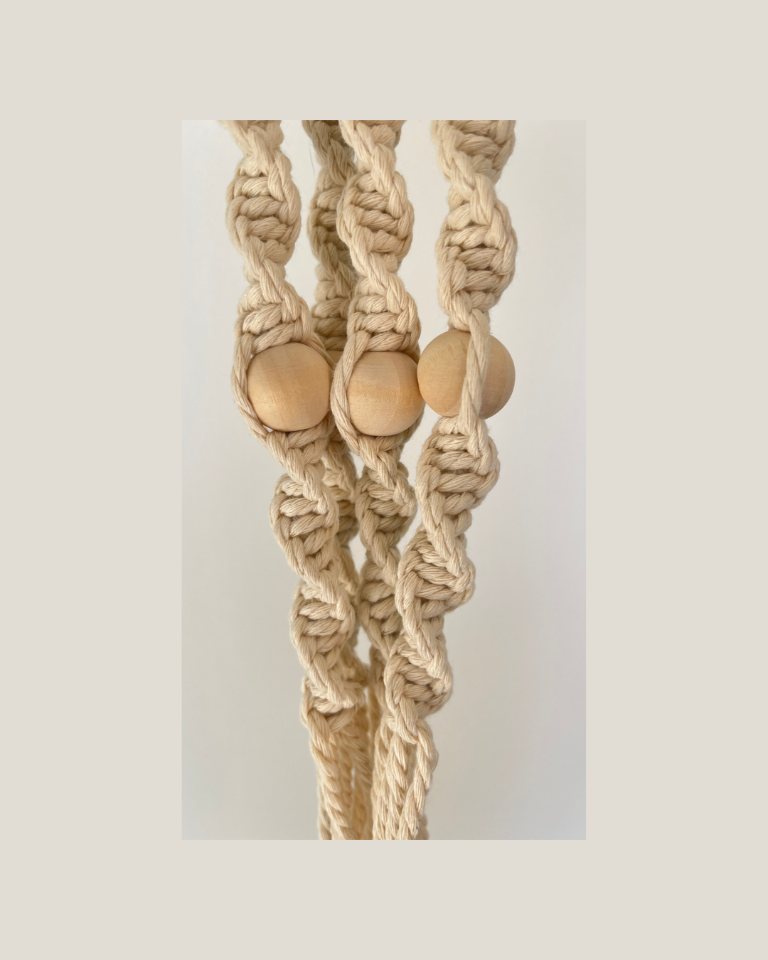 Hold Plant Hanger