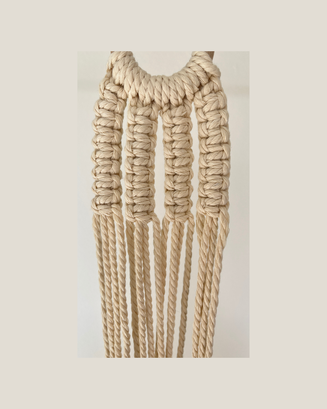Hold Plant Hanger